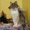 Отзыв от Инесса Никольская